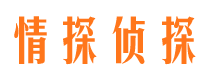 龙岩找人公司